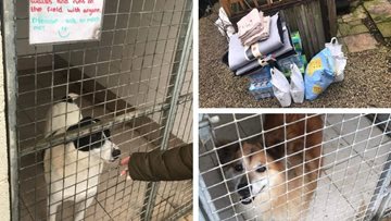 Retford care home makes a ‘pawsome’ donation to local animal rescue shelter